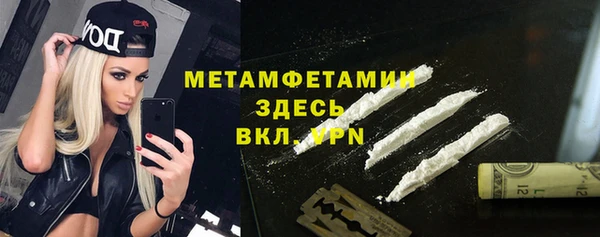 хмурый Аркадак