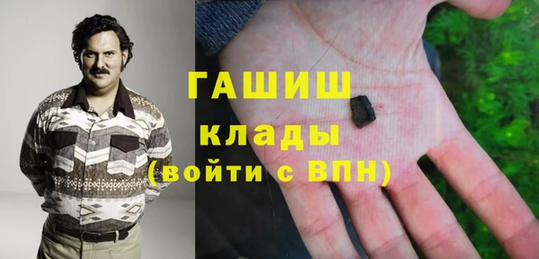 хмурый Аркадак