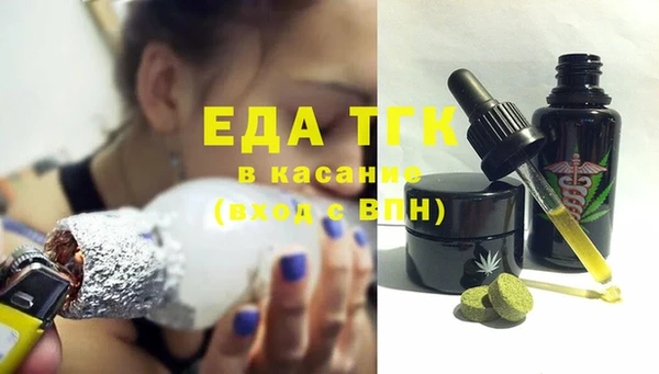 хмурый Аркадак