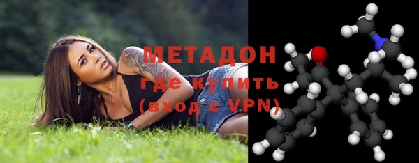 хмурый Аркадак