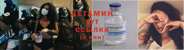 хмурый Аркадак