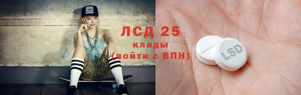 хмурый Аркадак