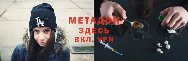 хмурый Аркадак