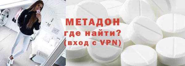 хмурый Аркадак