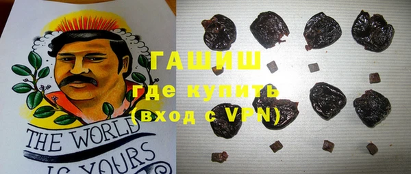 хмурый Аркадак