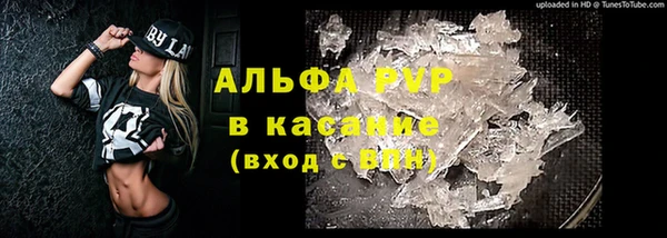меф Арсеньев