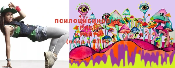 Альфа ПВП Майский