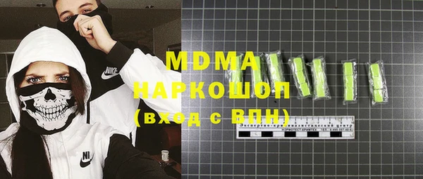 хмурый Аркадак